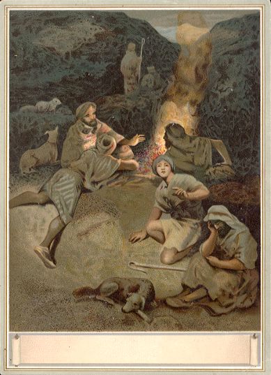 Arbuckle - shepherds