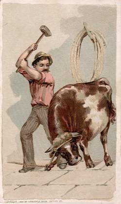 Beef
