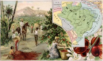 Brazil map - Coffee Culture