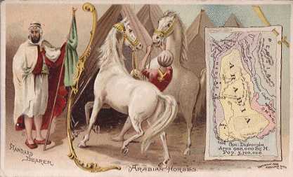 Arabia map - Arabian Horses