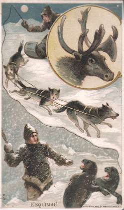 Eskimo - dog sledding, reindeer, seal hunting