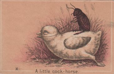 A little cock-horse - Peerless Coffee