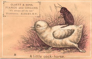 A little cock-horse - Cluett & Sons