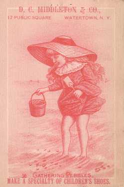Gathering Pebbles - D. C. Middleton & Co.