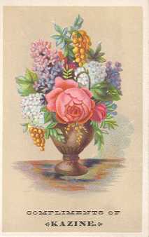 Kazine - trade card