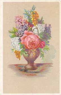 Mullins & Co. - trade card