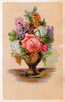 E. S. Combs & Co. - trade card