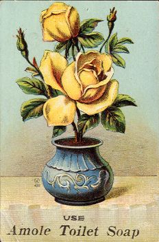 Amole Toilet Soap - trade card