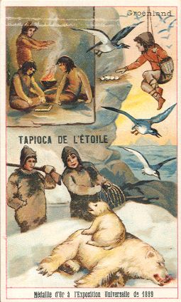 TAPIOCA DE L'�TOILE - Gro�nland