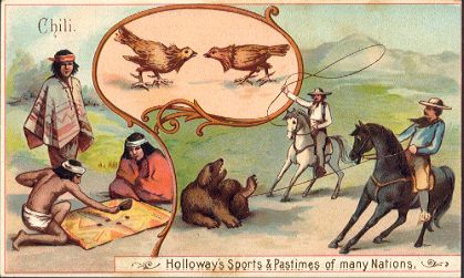 Chili - Thomas Holloway