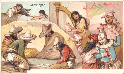 Mexique - Chicoree Lervilles