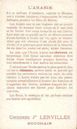 L'ARABIE - CHICOR�E JH LERVILLES