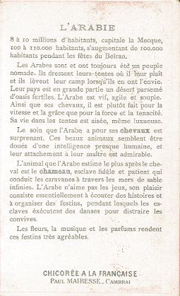 L'Arabie - Paul Mairesse