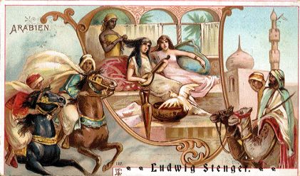 Arabien - Ludwig Stenger