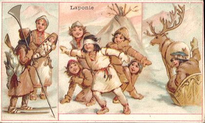 CHICOR�E LERVILLES - Laponie