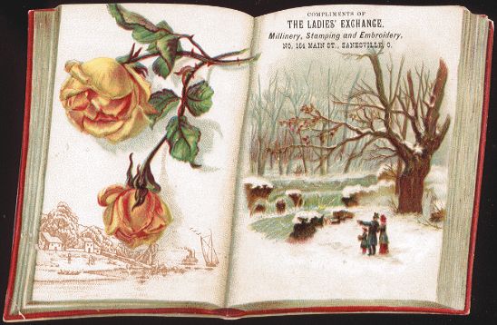 The Ladies' Exchange, Zanesville - trade card